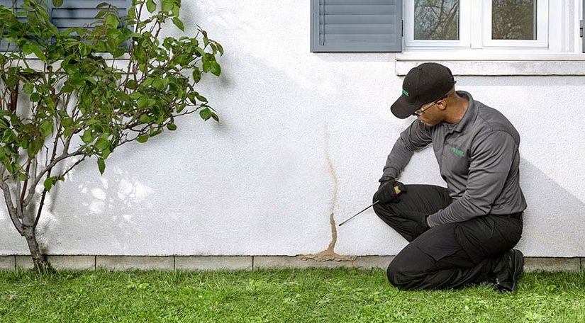 pest controller checking the outside of a home for termites